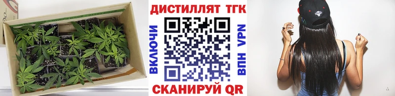 ТГК концентрат Родники