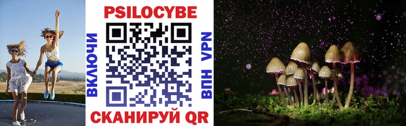 Галлюциногенные грибы Cubensis  Родники 